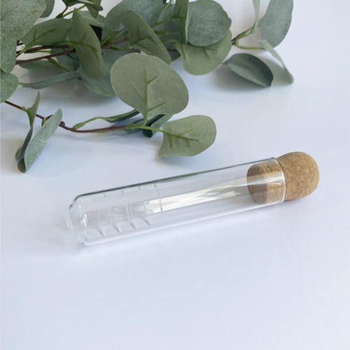 Infuseur à thé en verre