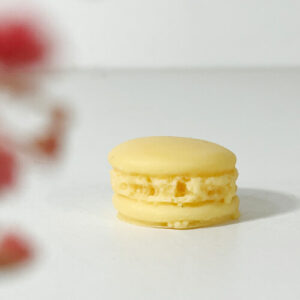 Fondant macaron - Fleur de Frangipanier