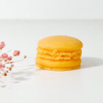 Fondant macaron - Mangue Coco