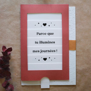 Papeterie créative ensemencée