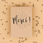 Sachet de graines Merci - Fleurs des champs