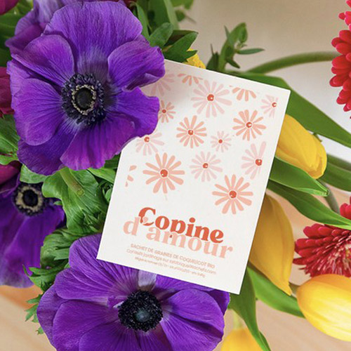 Sachet de graines Copine d'amour - Coquelicot bio